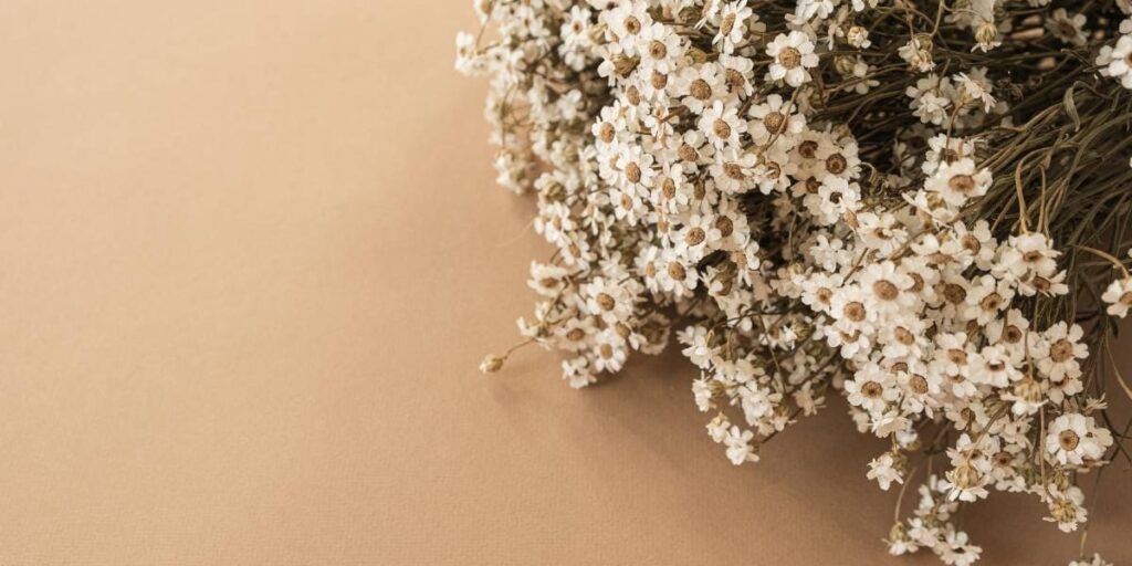 como secar ramo de flores