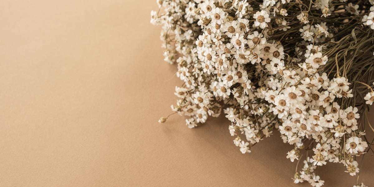 como secar ramo de flores