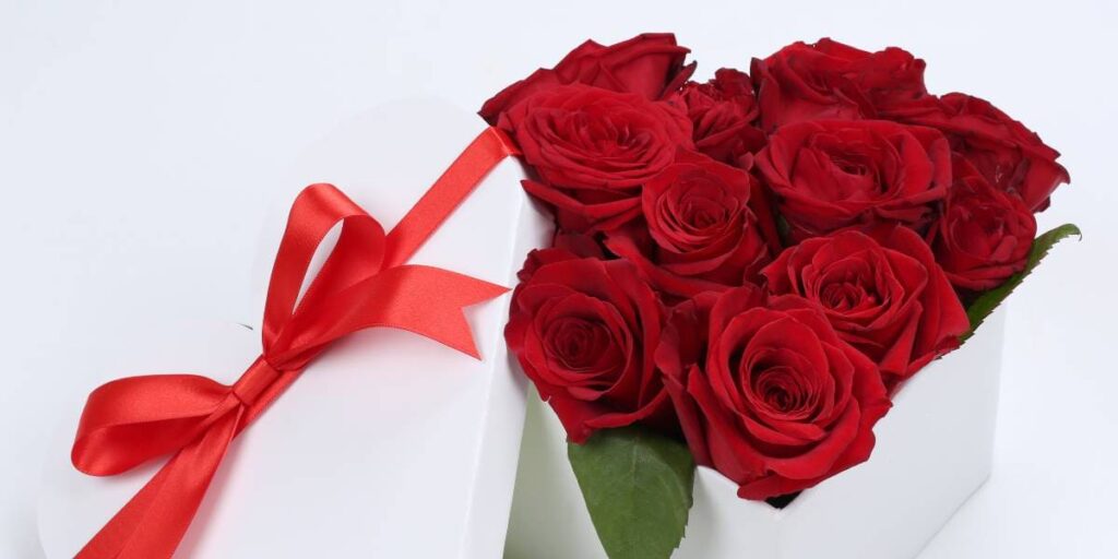 que flores regalar en san valentin