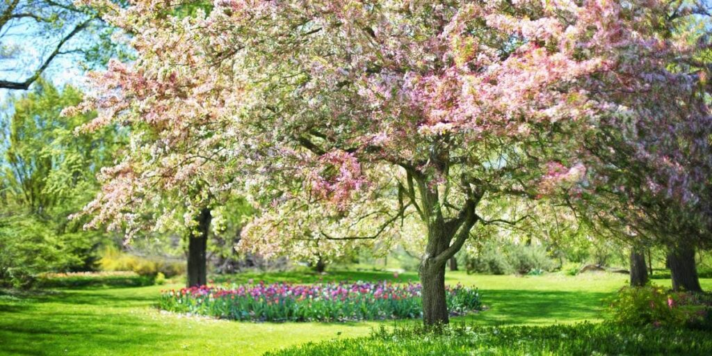 flores de temporada en abril