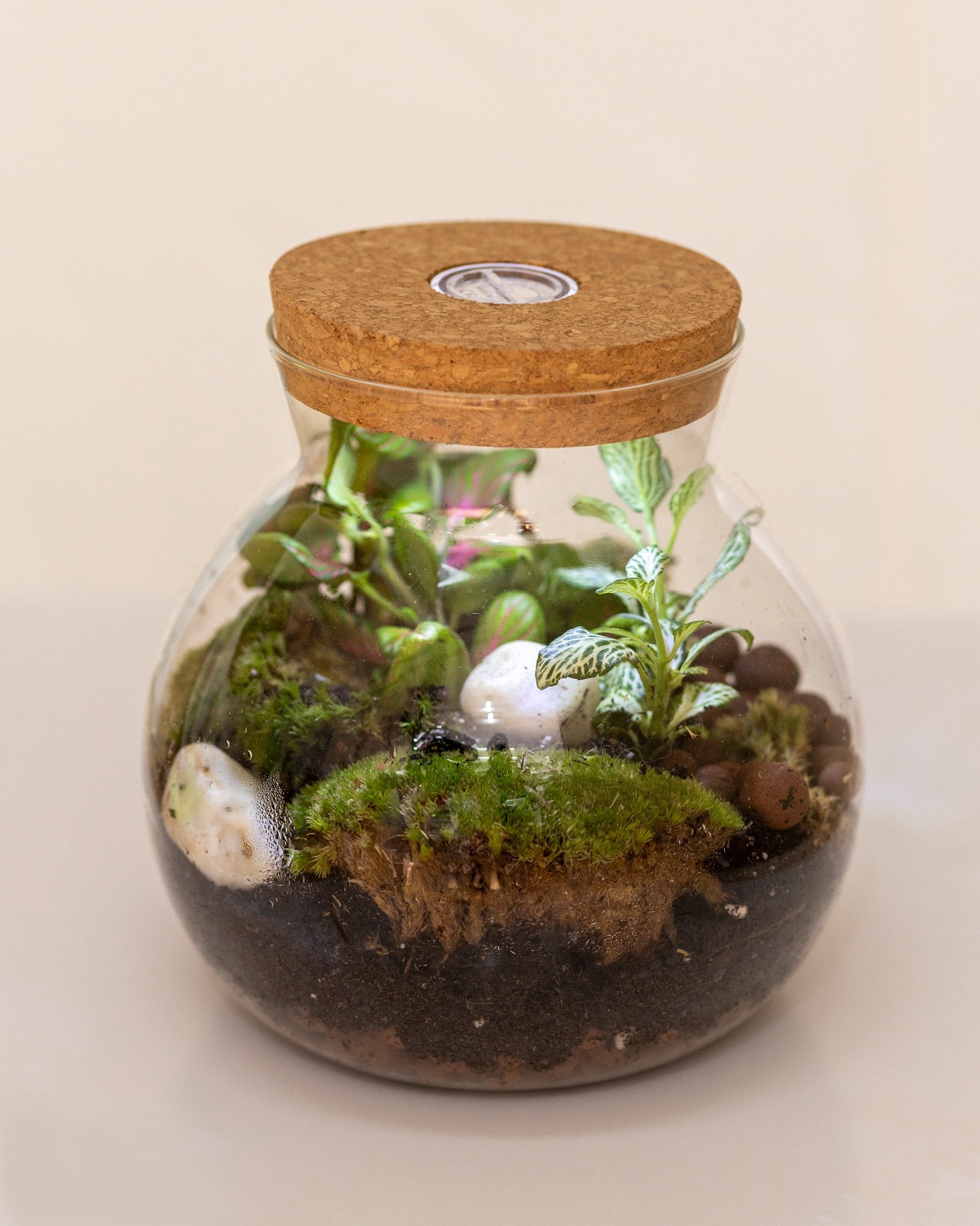 Terrario Plantas Microclima tamaño M
