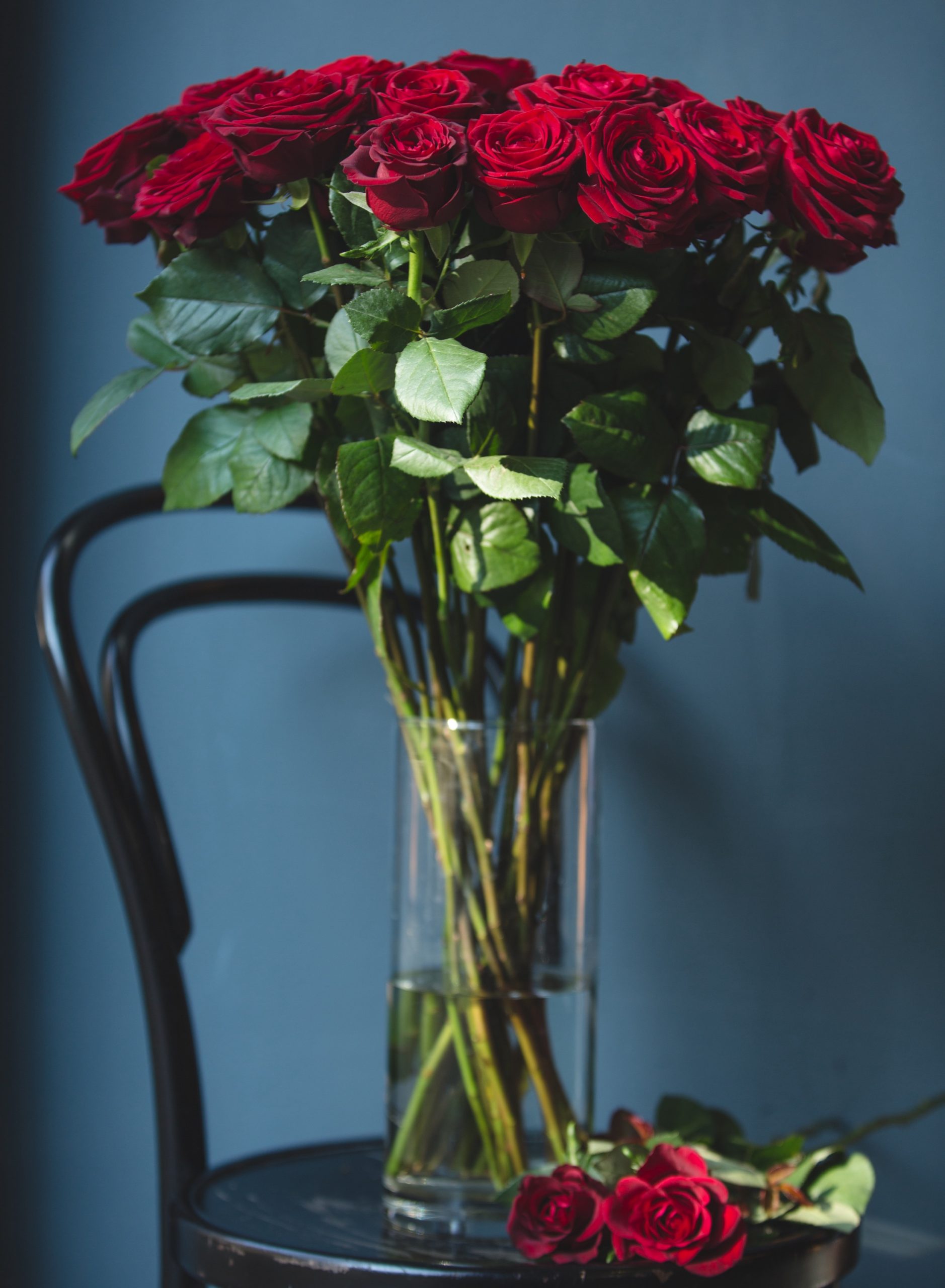 Jarrón con 12 rosas